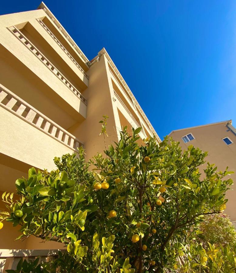 בול Hotel Villa Dzamonja מראה חיצוני תמונה
