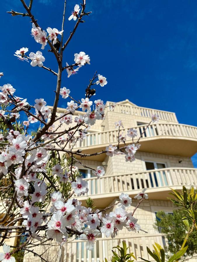 בול Hotel Villa Dzamonja מראה חיצוני תמונה
